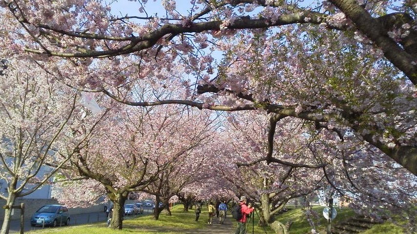 ��̉j���X �Ƃ��� ����~��~