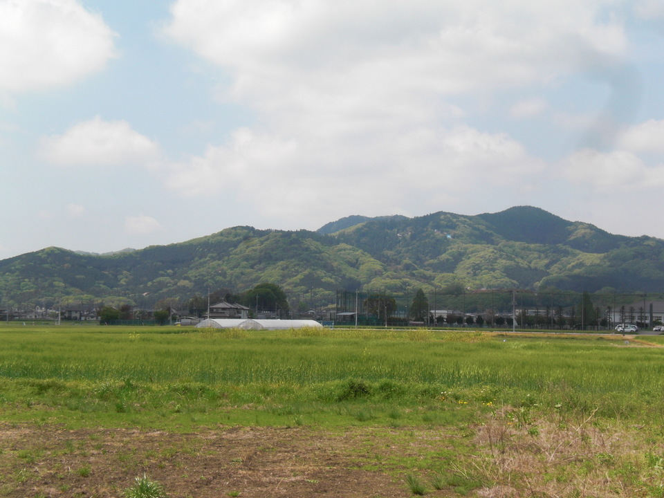 ��̉j���X �Ƃ��� ����~��~