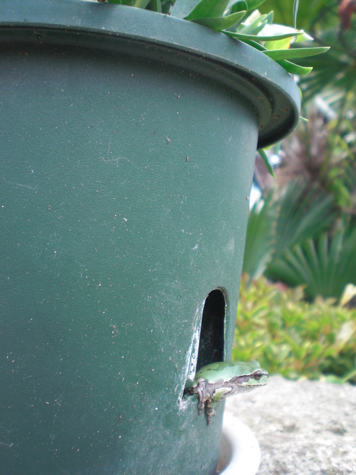 ��̉j���X �Ƃ��� ����~��~