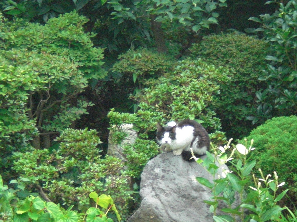 ��̉j���X �Ƃ��� ����~��~