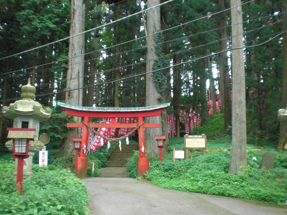 ��̉j���X �Ƃ��� ����~��~