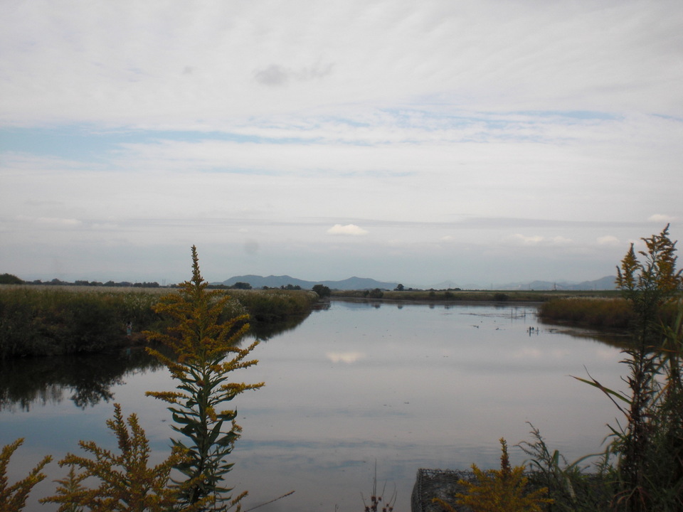 ��̉j���X �Ƃ��� ����~��~