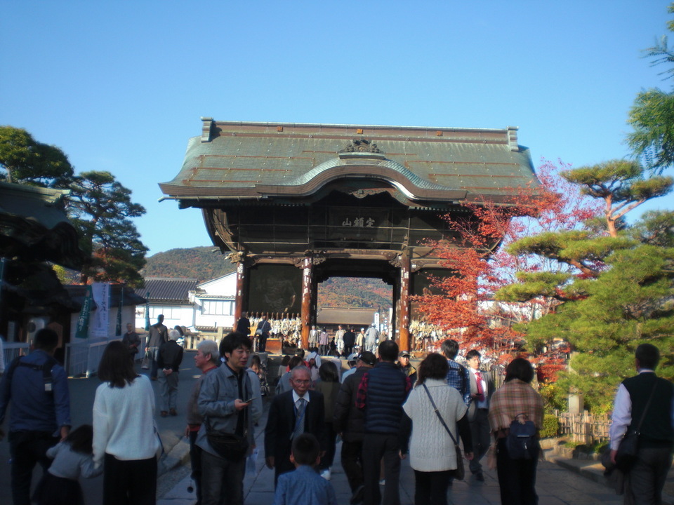 ��̉j���X �Ƃ��� ����~��~