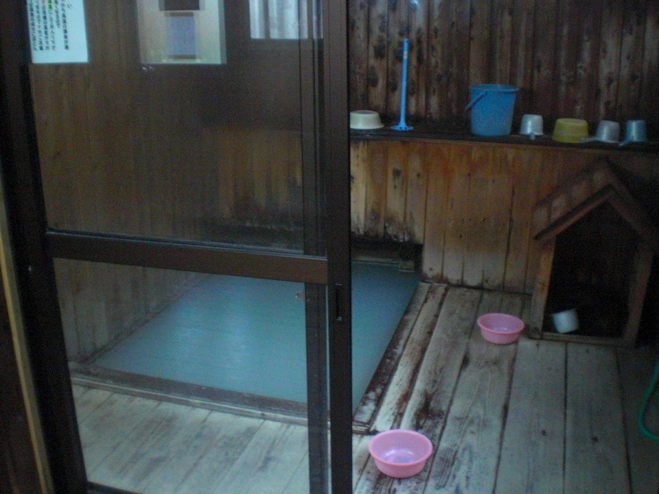 ��̉j���X �Ƃ��� ����~��~