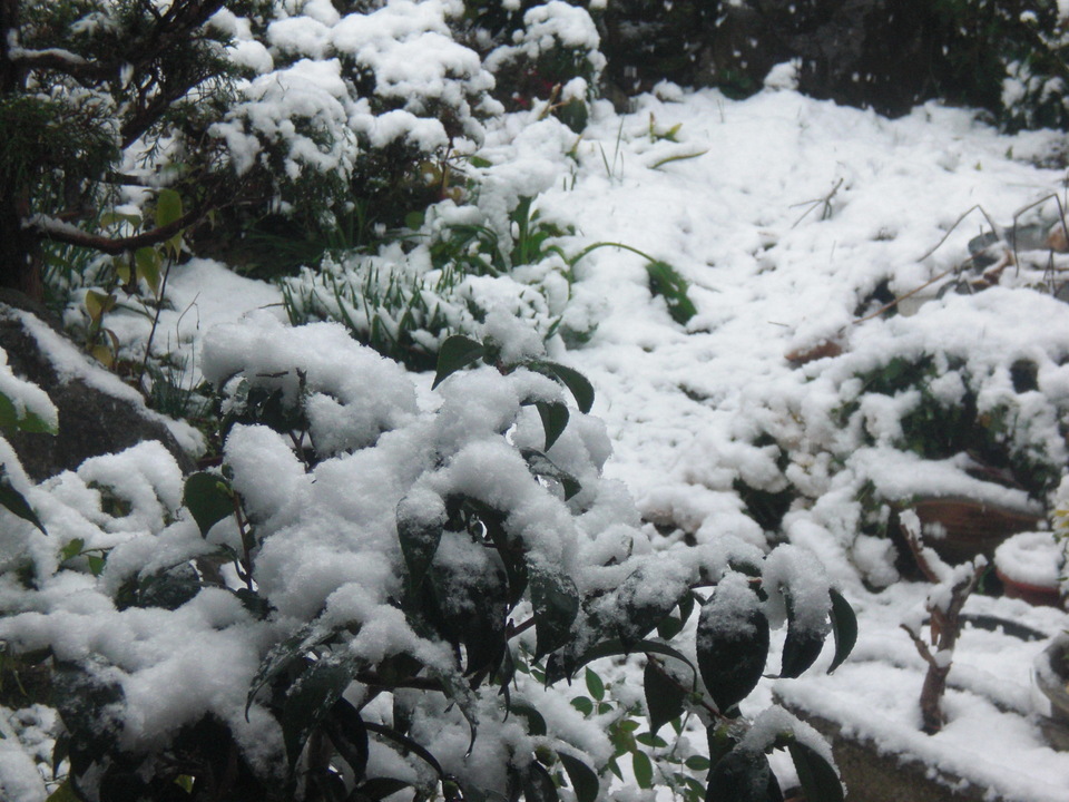 ��̉j���X �Ƃ��� ����~��~