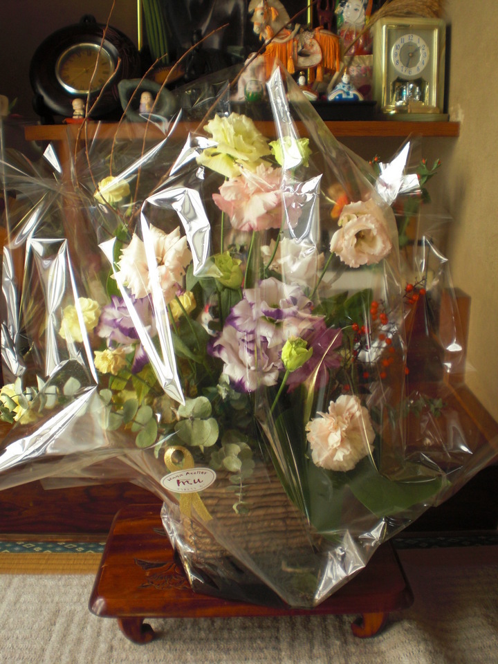 ��̉j���X �Ƃ��� ����~��~