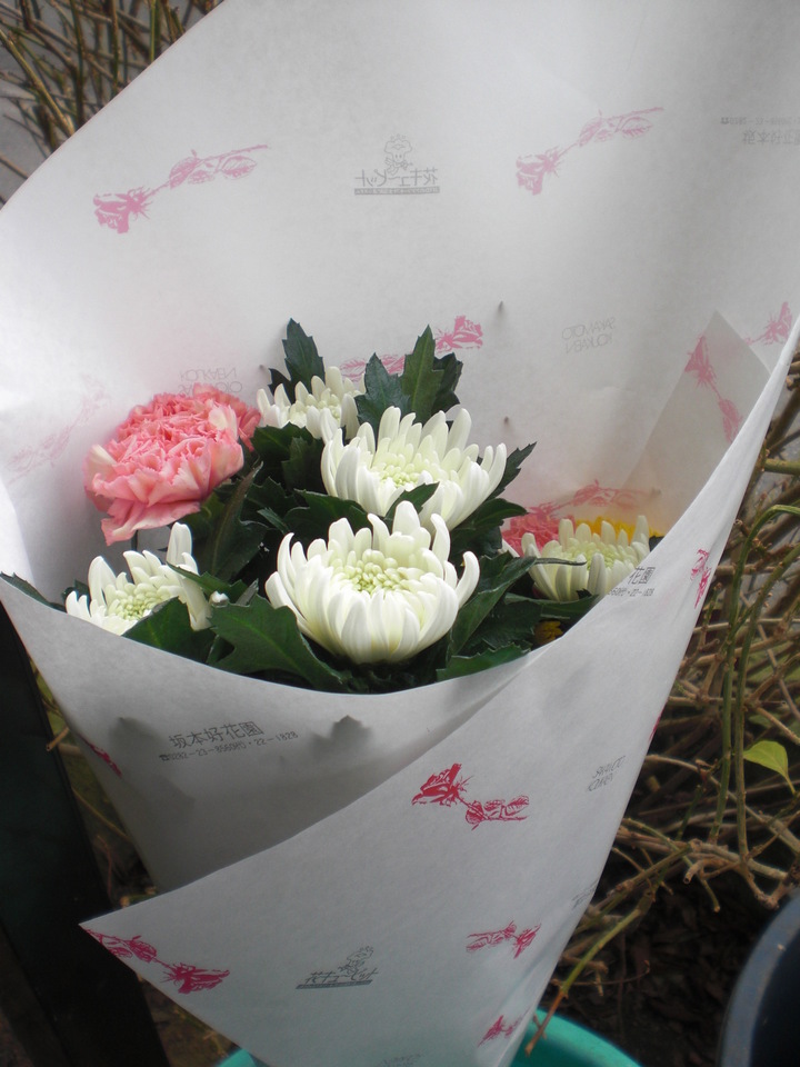 ��̉j���X �Ƃ��� ����~��~