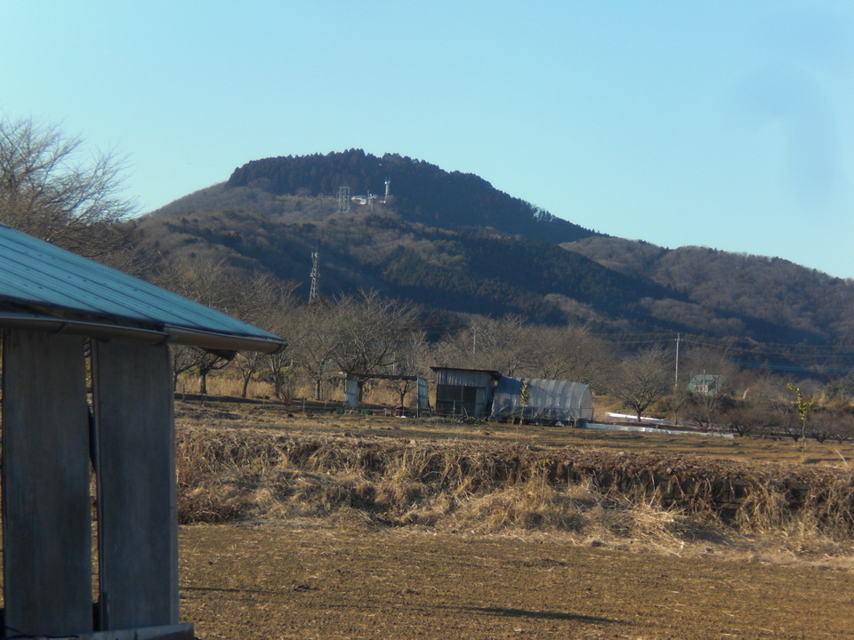 ��̉j���X �Ƃ��� ����~��~