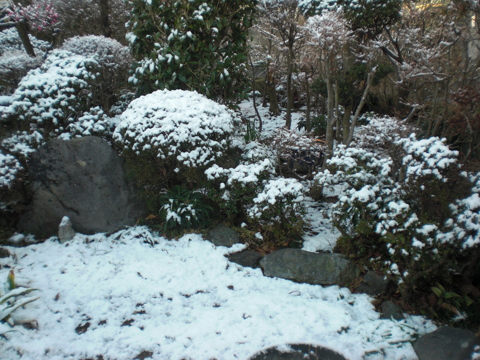 ��̉j���X �Ƃ��� ����~��~