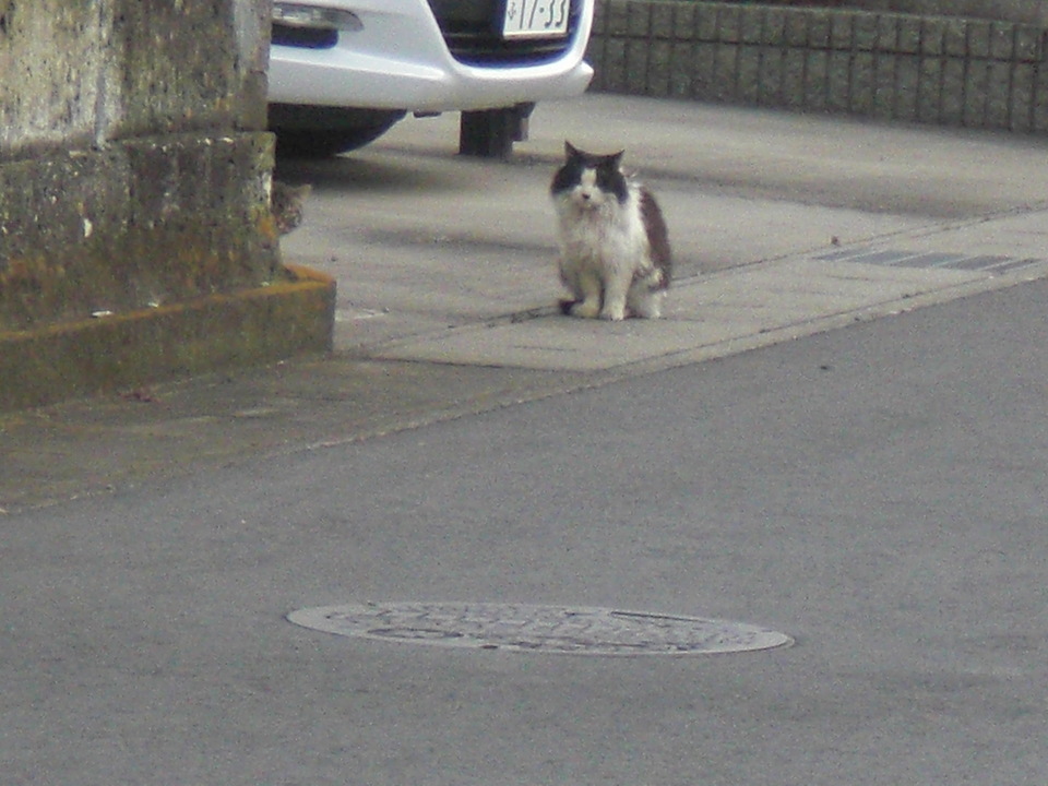 ��̉j���X �Ƃ��� ����~��~