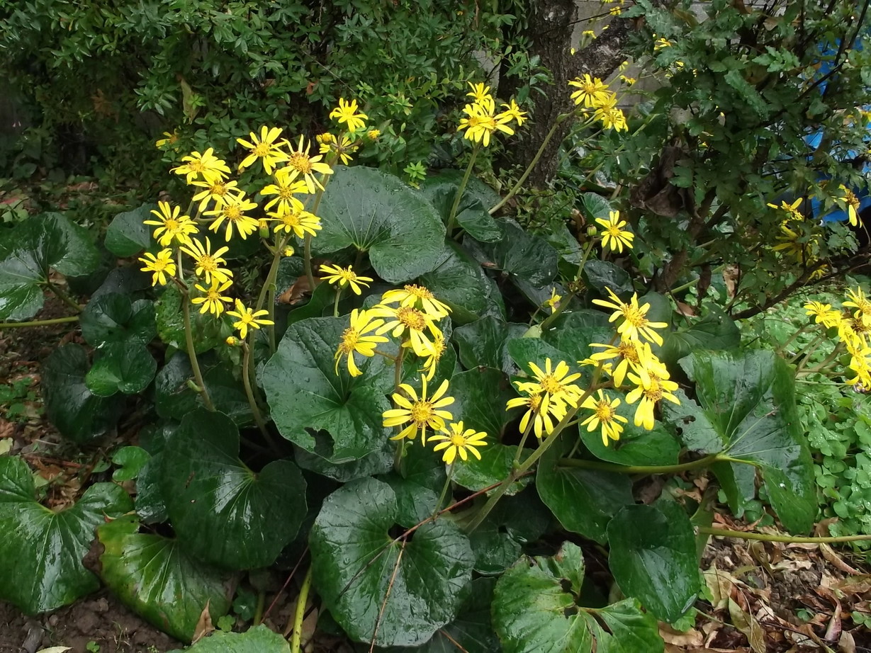 UntitledỉjX Ƃ ~~j