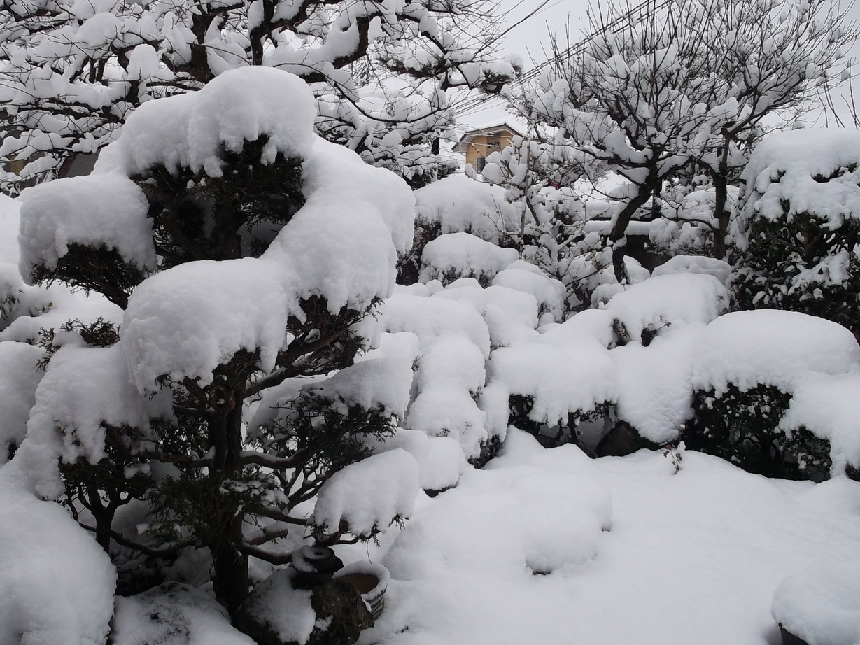 �ڂ��o�߂���I�I�i��̉j���X �Ƃ��� ����~��~�j