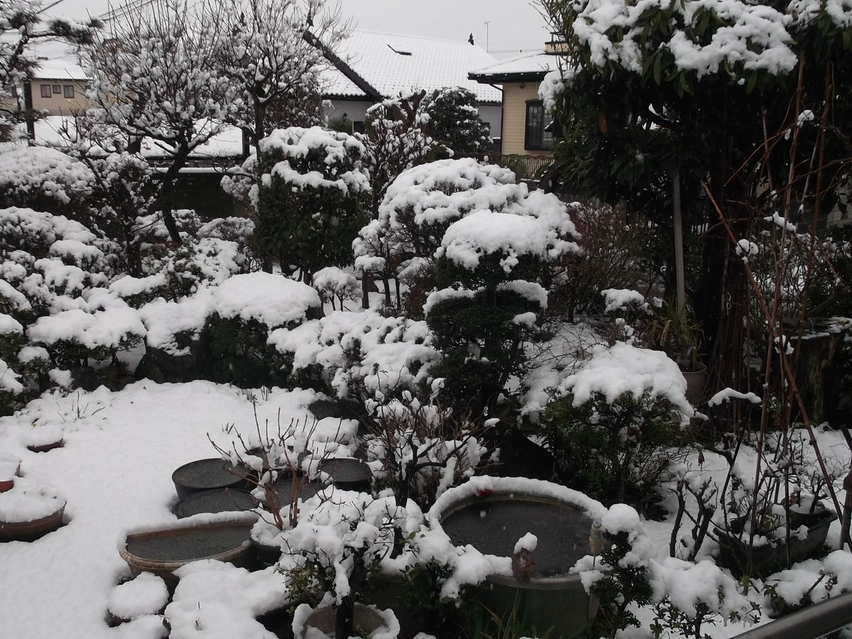 ��̉j���X �Ƃ��� ����~��~