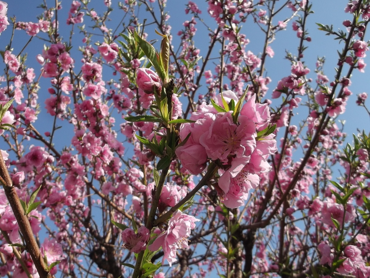 ��̉j���X �Ƃ��� ����~��~