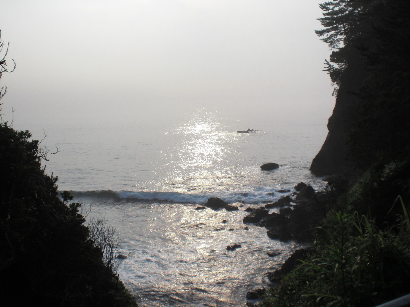 ��̉j���X �Ƃ��� ����~��~