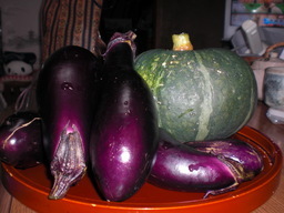 ��̉j���X �Ƃ��� ����~��~