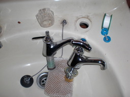 ��̉j���X �Ƃ��� ����~��~