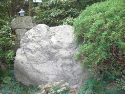 ��̉j���X �Ƃ��� ����~��~