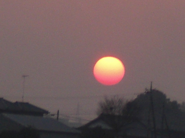 ��̉j���X �Ƃ��� ����~��~