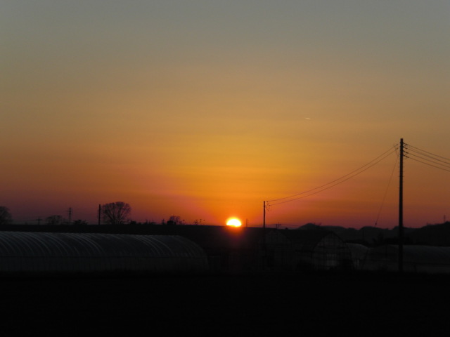 ��̉j���X �Ƃ��� ����~��~