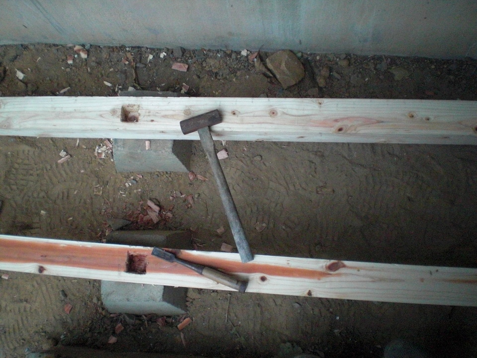 ��̉j���X �Ƃ��� ����~��~