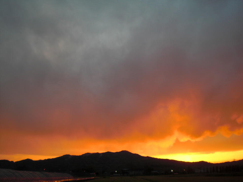 ��̉j���X �Ƃ��� ����~��~