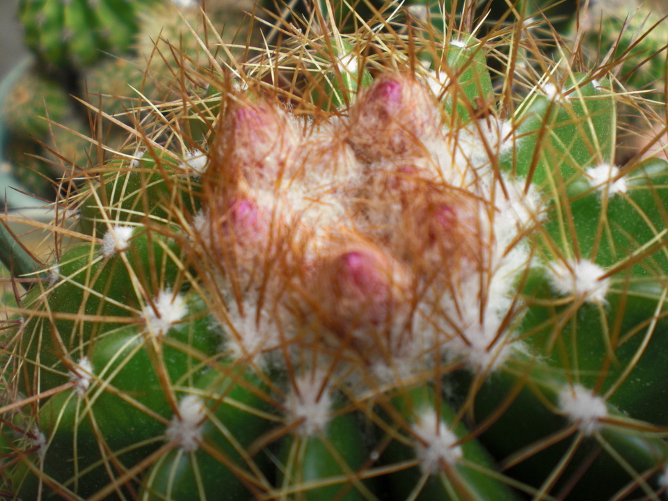 ��̉j���X �Ƃ��� ����~��~