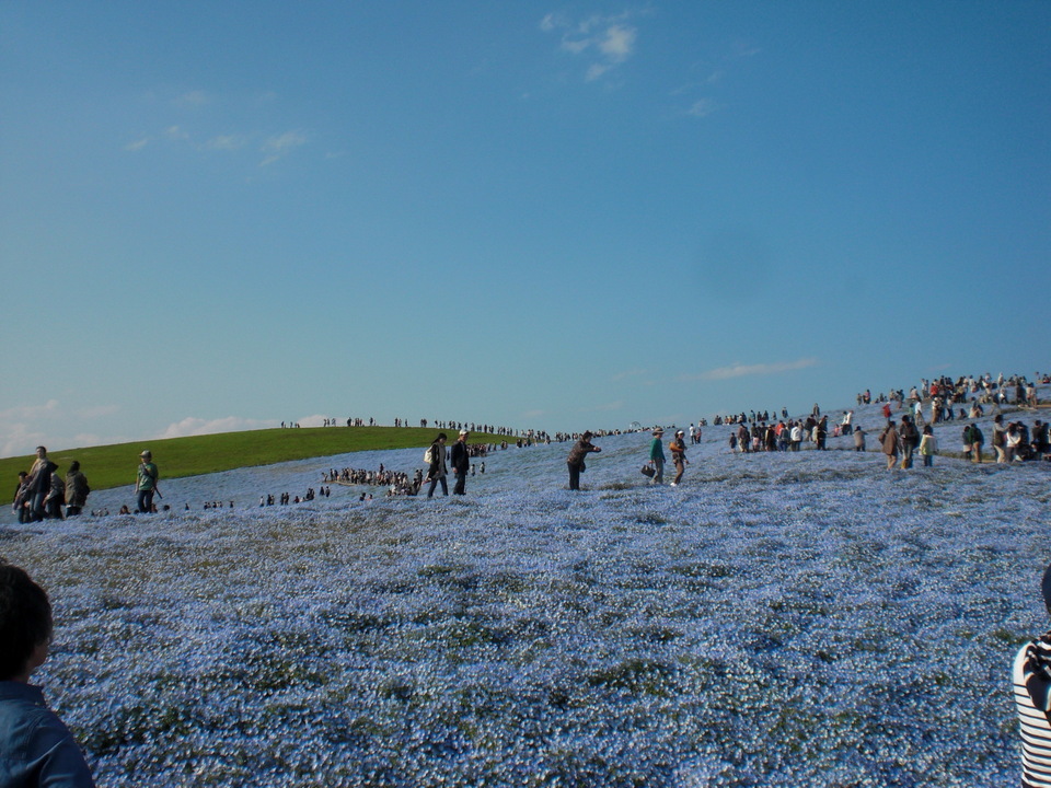 ��̉j���X �Ƃ��� ����~��~