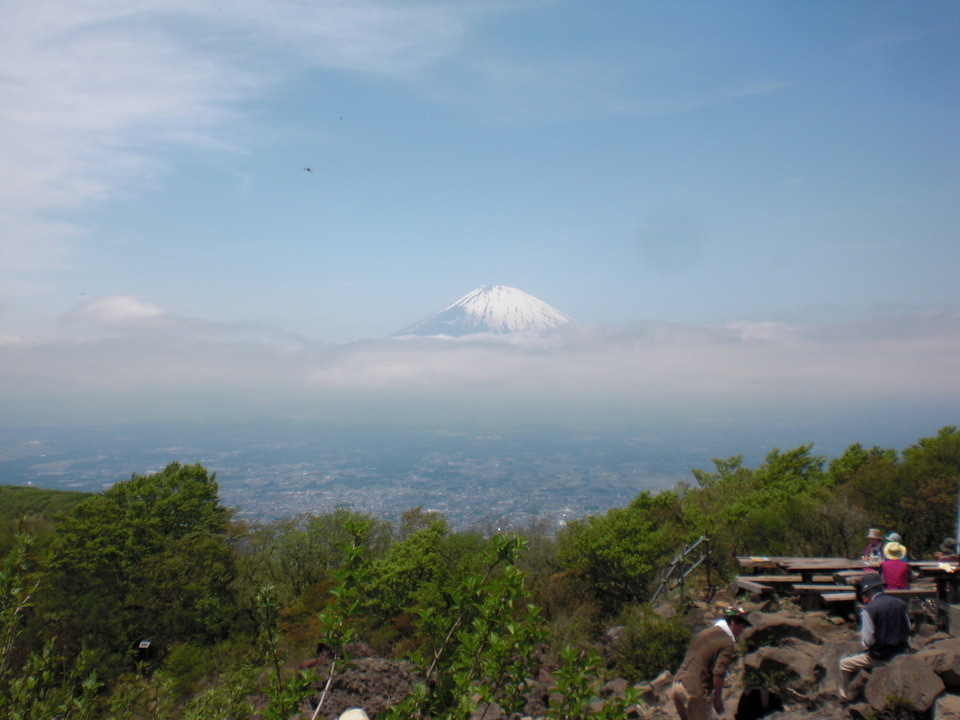 ��̉j���X �Ƃ��� ����~��~