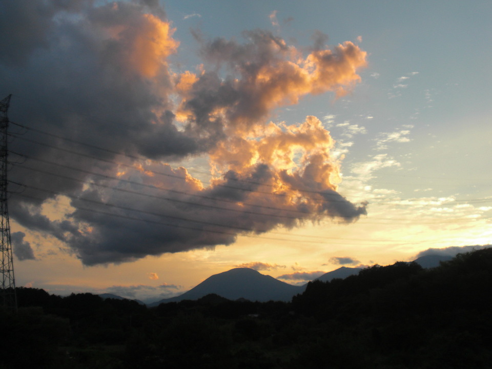 ��̉j���X �Ƃ��� ����~��~