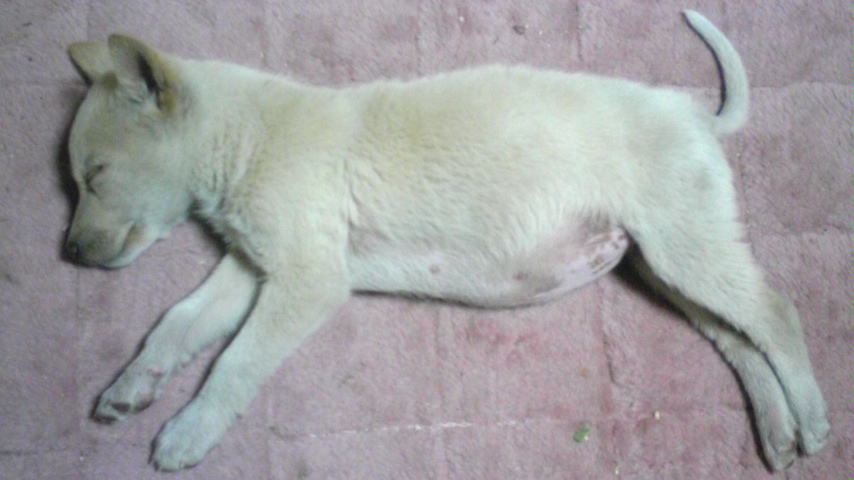 �����ނ�т��̌�����������