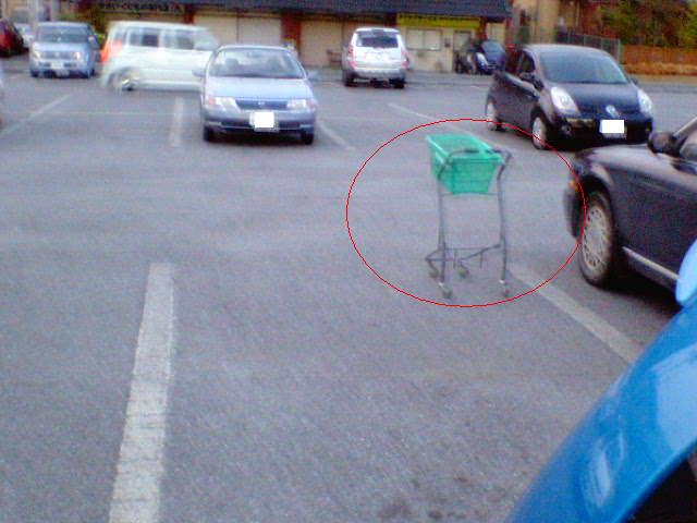 �����ނ�т��̌�����������