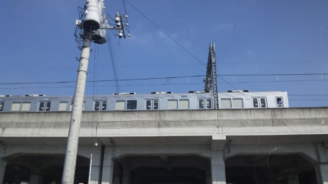 �����ނ�т��̌�����������