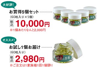 �����ނ�т��̌�����������