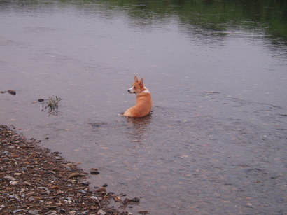 �����ނ�т��̌�����������