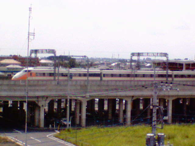 �����ނ�т��̌�����������