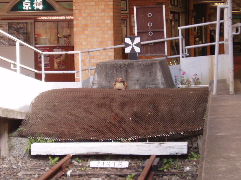 �����ނ�т��̌�����������