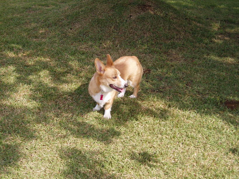 �����ނ�т��̌�����������