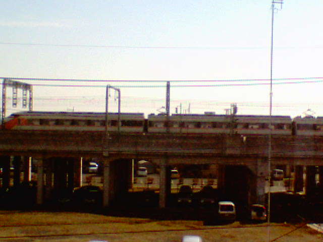 �����ނ�т��̌�����������