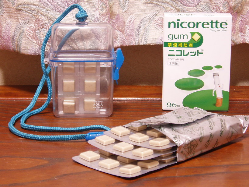 �����ނ�т��̌�����������