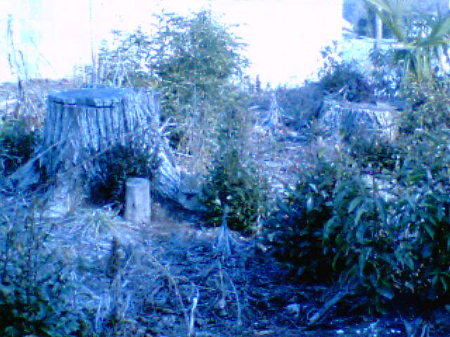 �����ނ�т��̌�����������