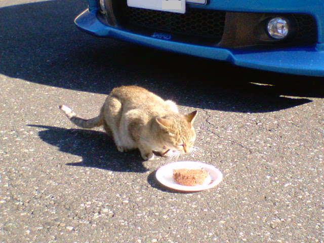 �����ނ�т��̌�����������