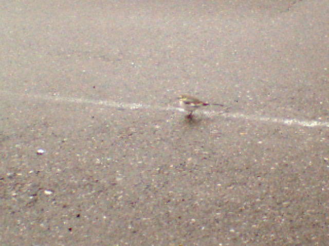 �����ނ�т��̌�����������