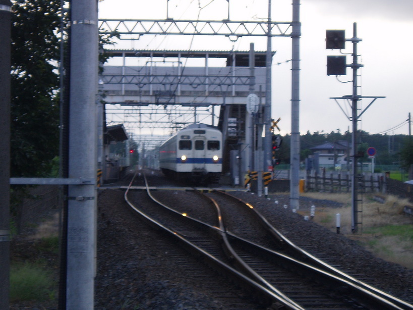 �����ނ�т��̌�����������