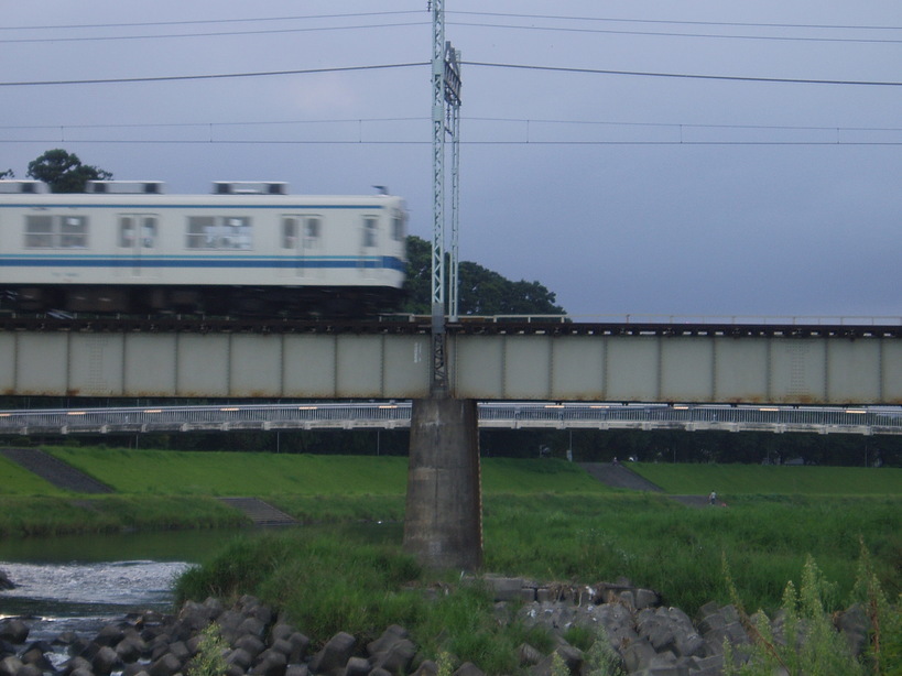 �����ނ�т��̌�����������