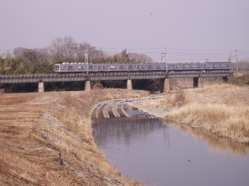 �����ނ�т��̌�����������