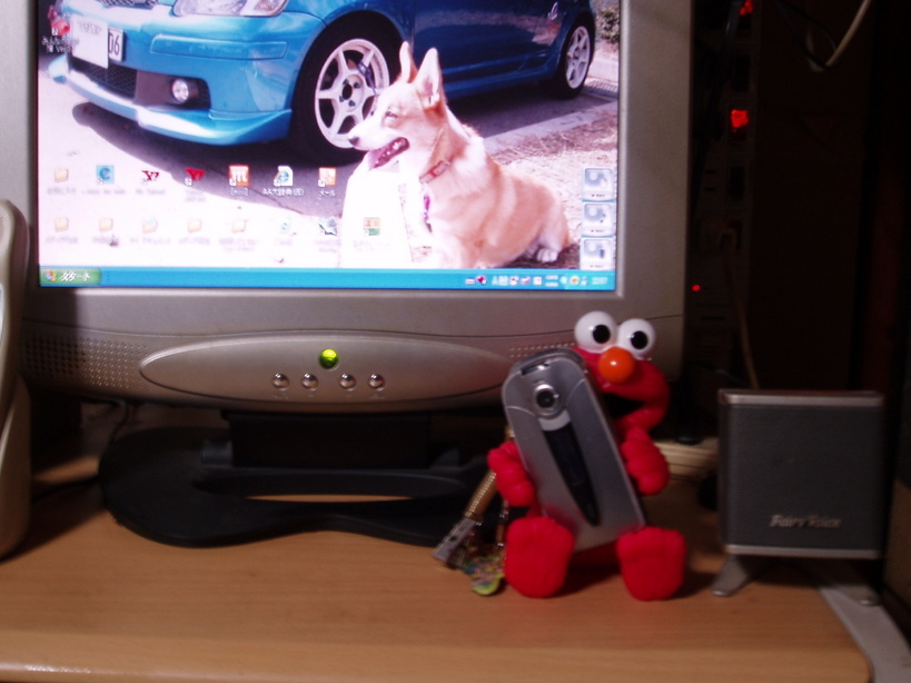 �����ނ�т��̌�����������