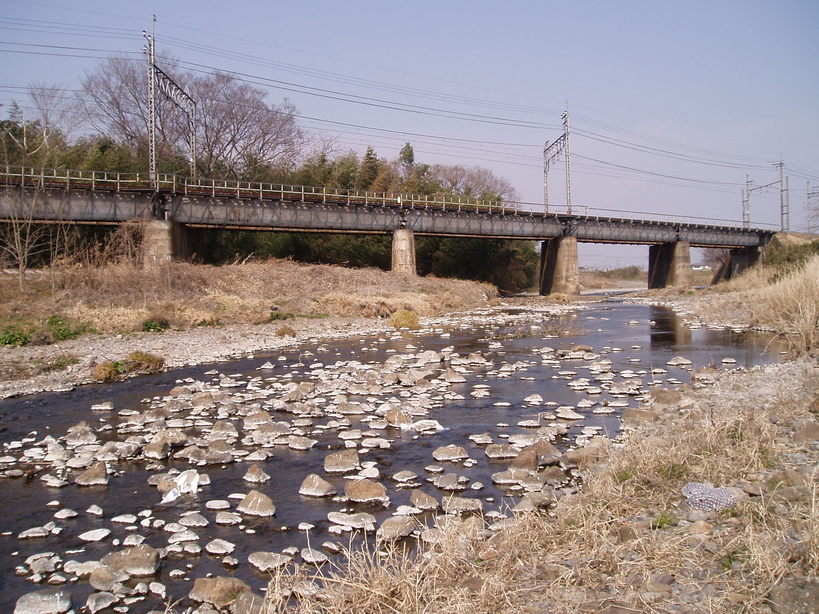 �����ނ�т��̌�����������