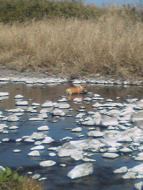 �����ނ�т��̌�����������