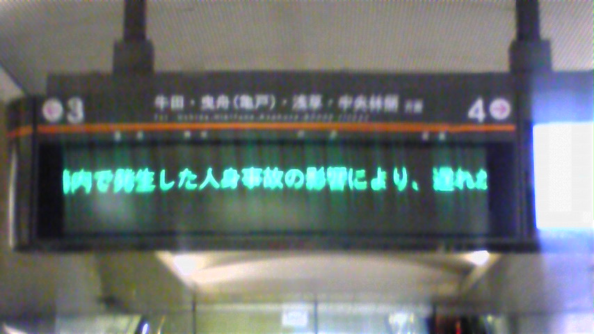 �����ނ�т��̌�����������